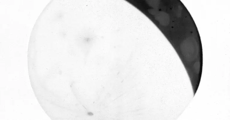 Full Moon August 2027: Penumbral Eclipse in Aquarius · E. Trouvelot · Lunar Eclipse · 1881