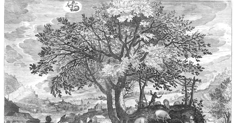 Zodia noiembrie: Scorpion sau Săgetător? · Aeg. Sadeler · November · 1607