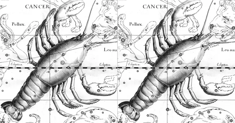 Cancro e Cancro: compatibilità di due cuori lunari · Ioh. Hevelius · Uranographia · 1690