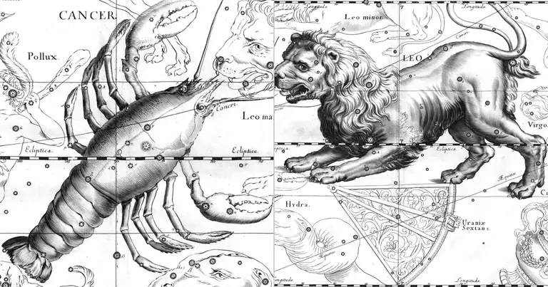 Cancro e Leone: la Luna accanto al Sole · Ioh. Hevelius · Uranographia · 1690