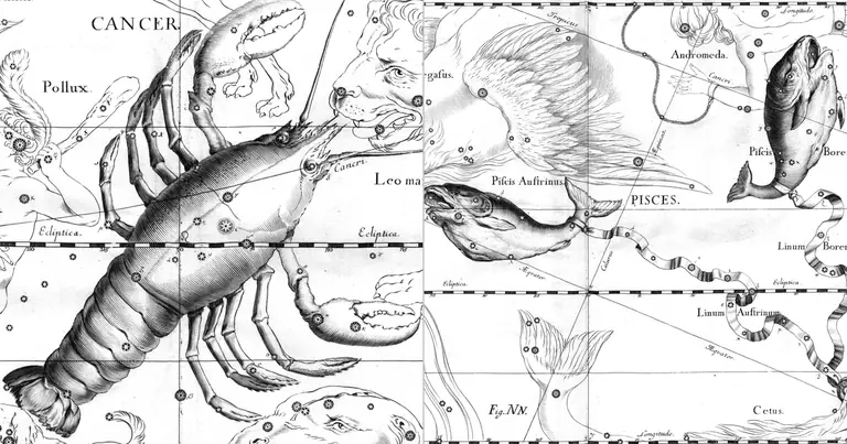 Pesci e Cancro: compatibilità tra due acque · Ioh. Hevelius · Uranographia · 1690