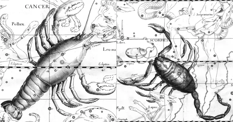 Cancro e Scorpione: la profondità dell’acqua in trigono · Ioh. Hevelius · Uranographia · 1690