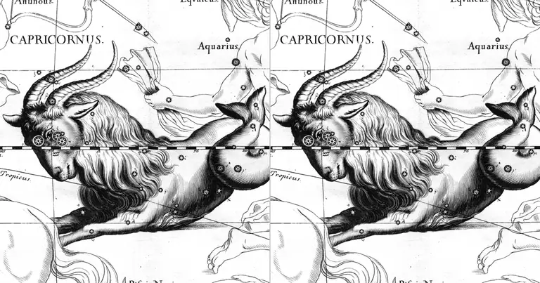 Steinbock und Steinbock: zwei Macher unter einem Dach · Ioh. Hevelius · Uranographia · 1690