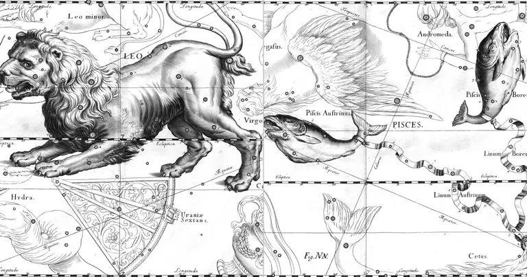 Leone e Pesci: compatibilità tra sole e nebbia · Ioh. Hevelius · Uranographia · 1690