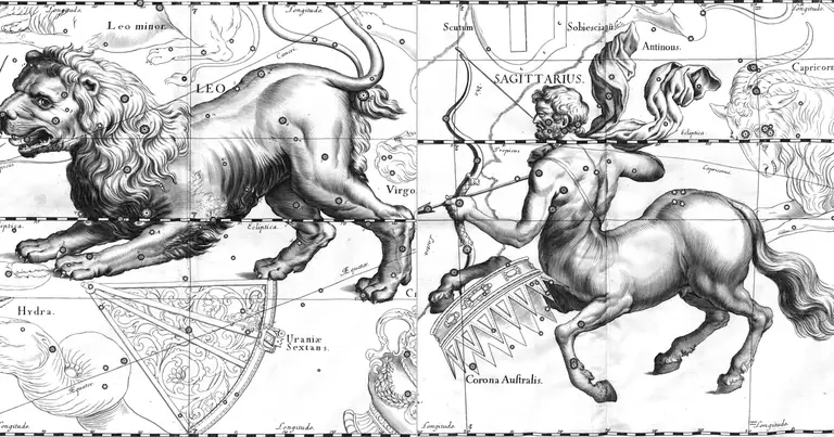 Лъв и Стрелец: съвместимост по зодия · Ioh. Hevelius · Uranographia · 1690