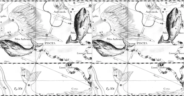 Peixes e Peixes: compatibilidade entre dois sonhadores · Ioh. Hevelius · Uranographia · 1690