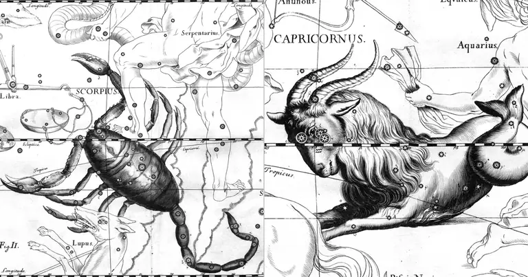 Compatibilitate Scorpion și Capricorn: lent și solid · Ioh. Hevelius · Uranographia · 1690
