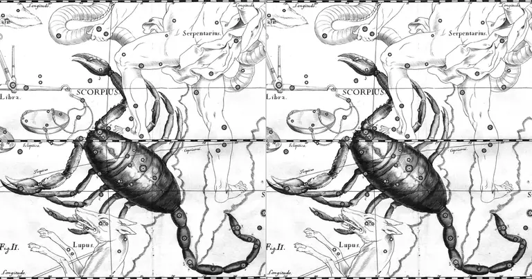 Escorpião e Escorpião: compatibilidade entre dois signos intensos · Ioh. Hevelius · Uranographia · 1690