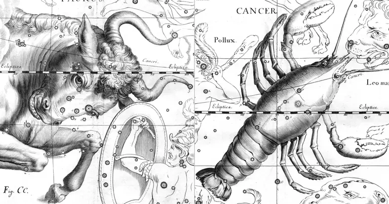 Toro e Cancro: una coppia da casa e da tavola · Ioh. Hevelius · Uranographia · 1690