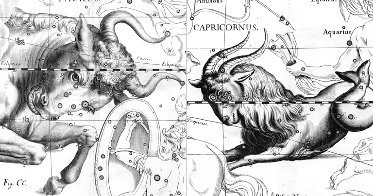Телец и Козирог: съвместимост по зодия · Ioh. Hevelius · Uranographia · 1690
