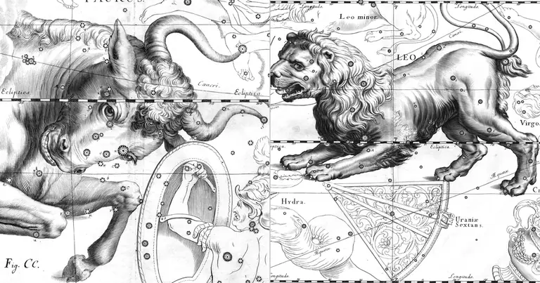 Toro e Leone: due segni fissi in quadratura · Ioh. Hevelius · Uranographia · 1690