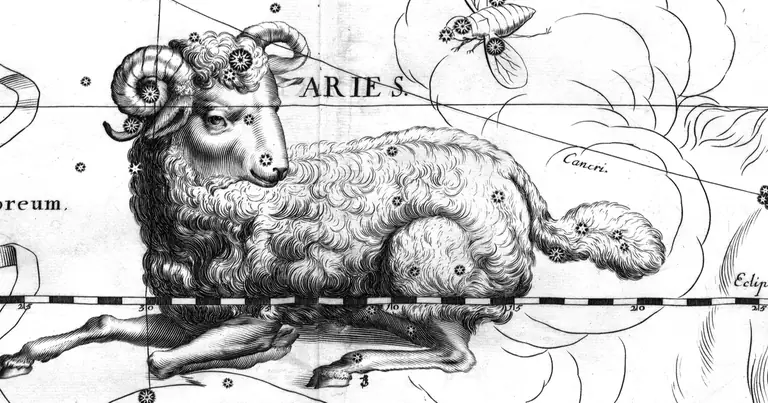Bărbatul Berbec: trăsături în dragoste, la muncă și punctele slabe · Ioh. Hevelius · Uranographia · 1690