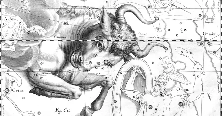 Taurus Man: Traits in Love, at Work and His Blind Spots · Ioh. Hevelius · Uranographia · 1690